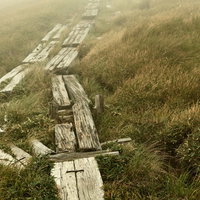 霧に包まれた湿原の草紅葉の中の木道を歩む秋の遊歩道の写真