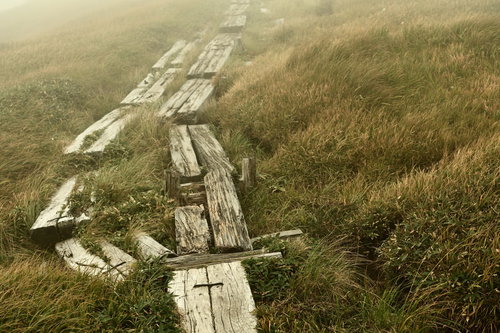 霧に包まれた湿原の草紅葉の中の木道を歩む秋の遊歩道