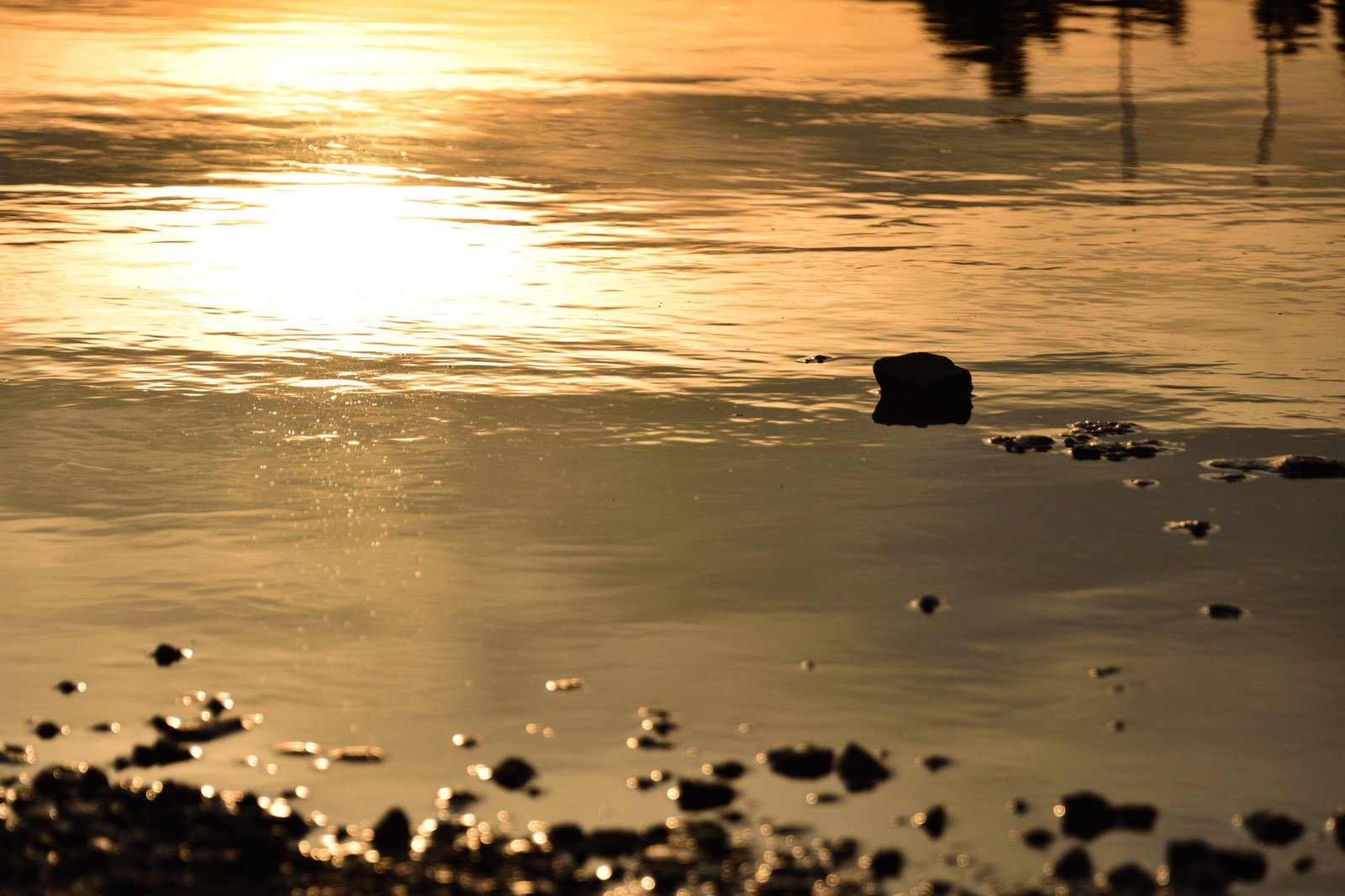 水溜りの水面にオレンジ色の夕日が映り込んでいる夕方の風景