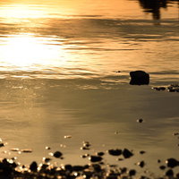 水溜りに映るオレンジ色の夕日と周囲の自然風景の写真