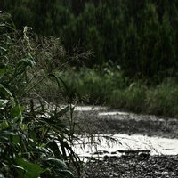 雨に濡れた砂利の農道の写真
