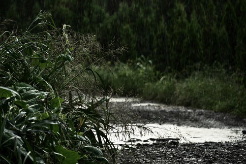 雨に濡れた砂利の農道