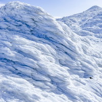 立派に育った樹氷に覆われた雪の斜面の写真