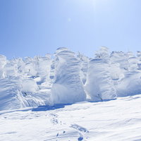 行く手を阻むリトルスノーモンスター、樹氷が立ち並ぶ雪山の風景の写真