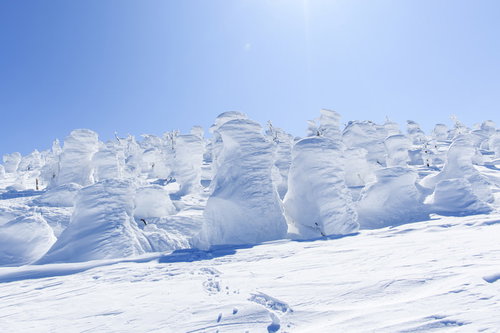 行く手を阻むリトルスノーモンスター、樹氷が立ち並ぶ雪山の風景
