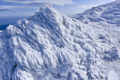 安達太良山の山頂に形成された大量のエビの尻尾樹氷