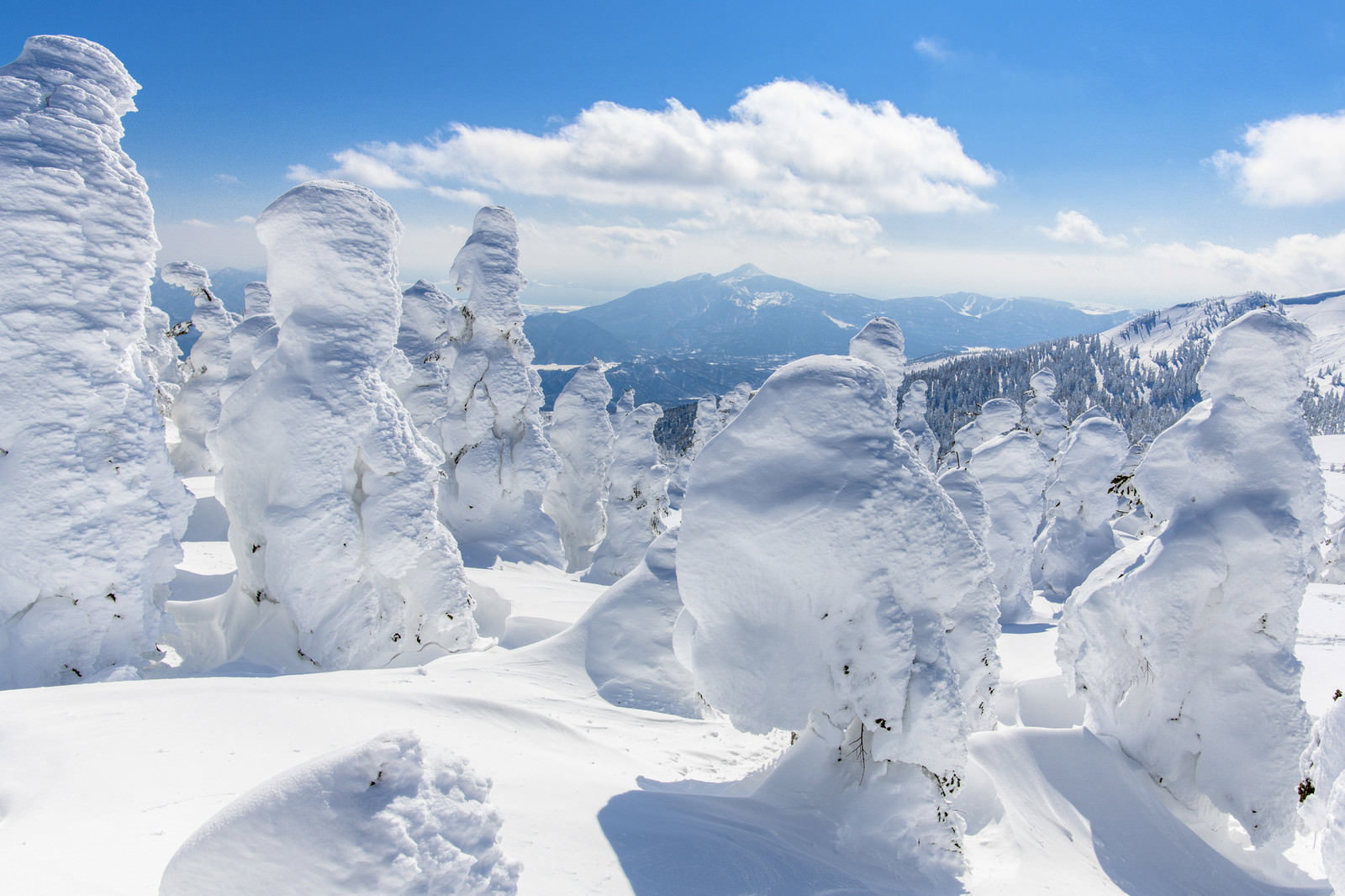 樹氷が並ぶ雪原の奥に磐梯山が見える冬景色