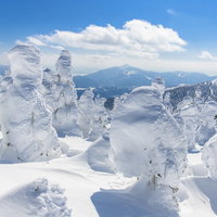 樹氷と磐梯山の雪景色 福島県の冬の絶景の写真