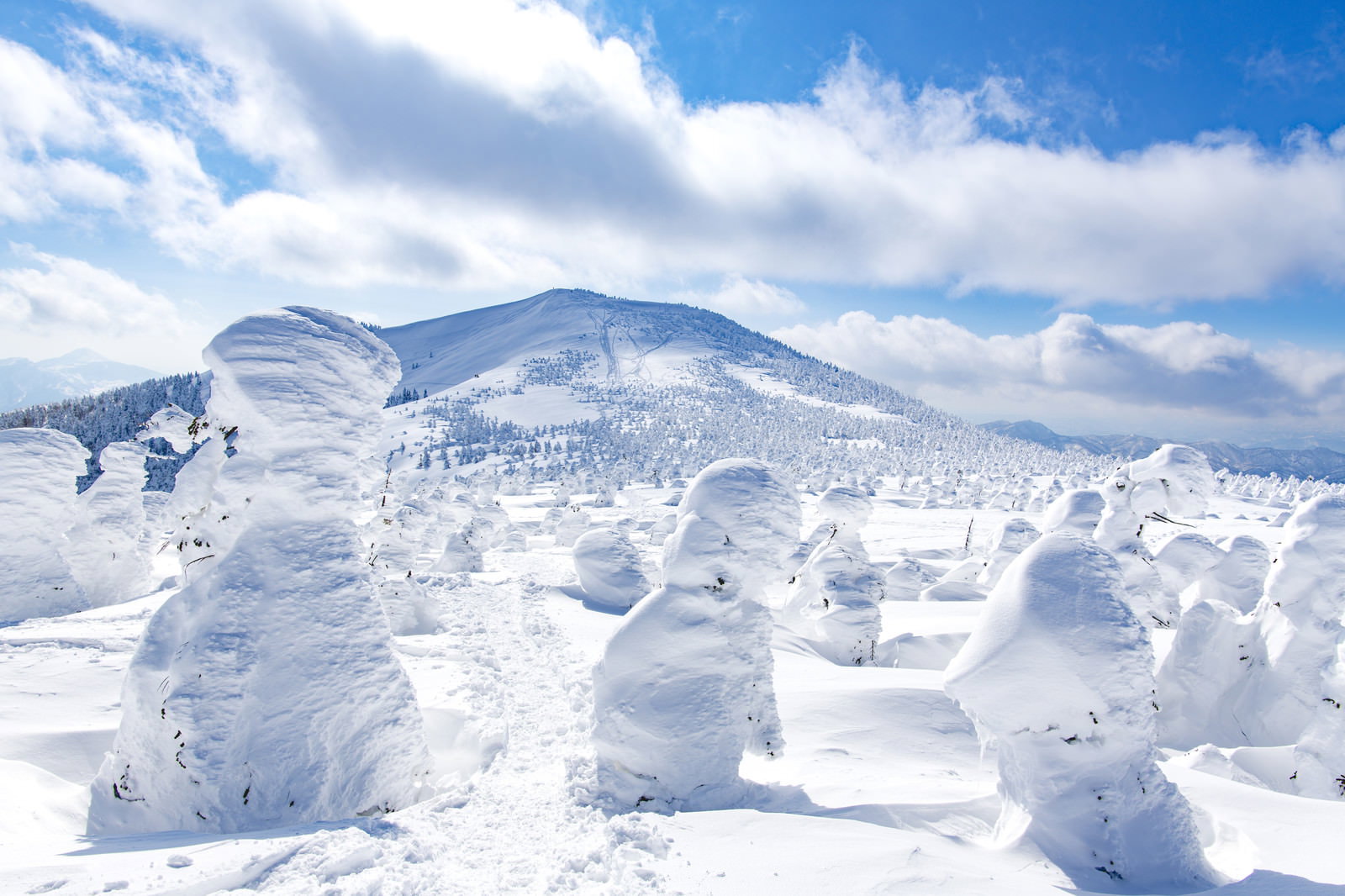 青空の下に広がる西大嶺の樹氷と雪景色