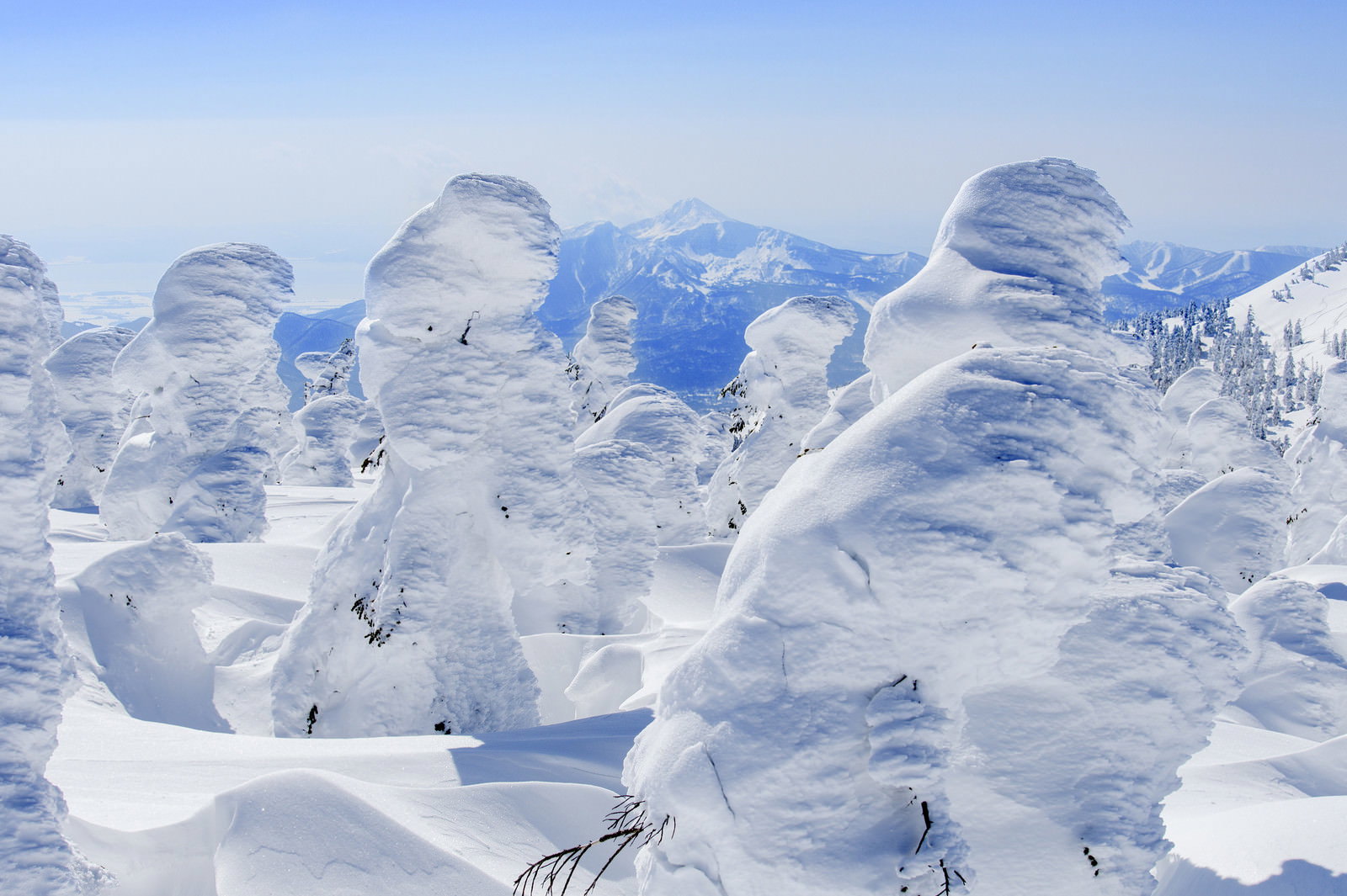 樹氷に覆われた木々の向こうに雪化粧した磐梯山が見える冬景色
