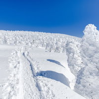 樹氷原に続く雪道と青空の写真