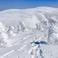 樹氷原に残る登山者の足跡の写真