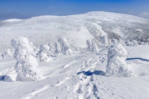 樹氷原に残る登山者の足跡