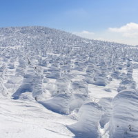 西吾妻山のスノーモンスターの写真