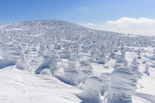 西吾妻山のスノーモンスター、樹氷と霧氷に覆われた冬山