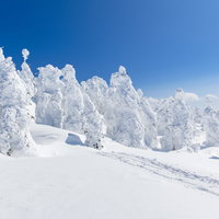 西吾妻山の霧氷に覆われた樹氷の冬景色 青空の写真