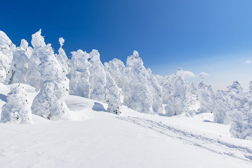 西吾妻山の霧氷に覆われた樹氷の冬景色 青空
