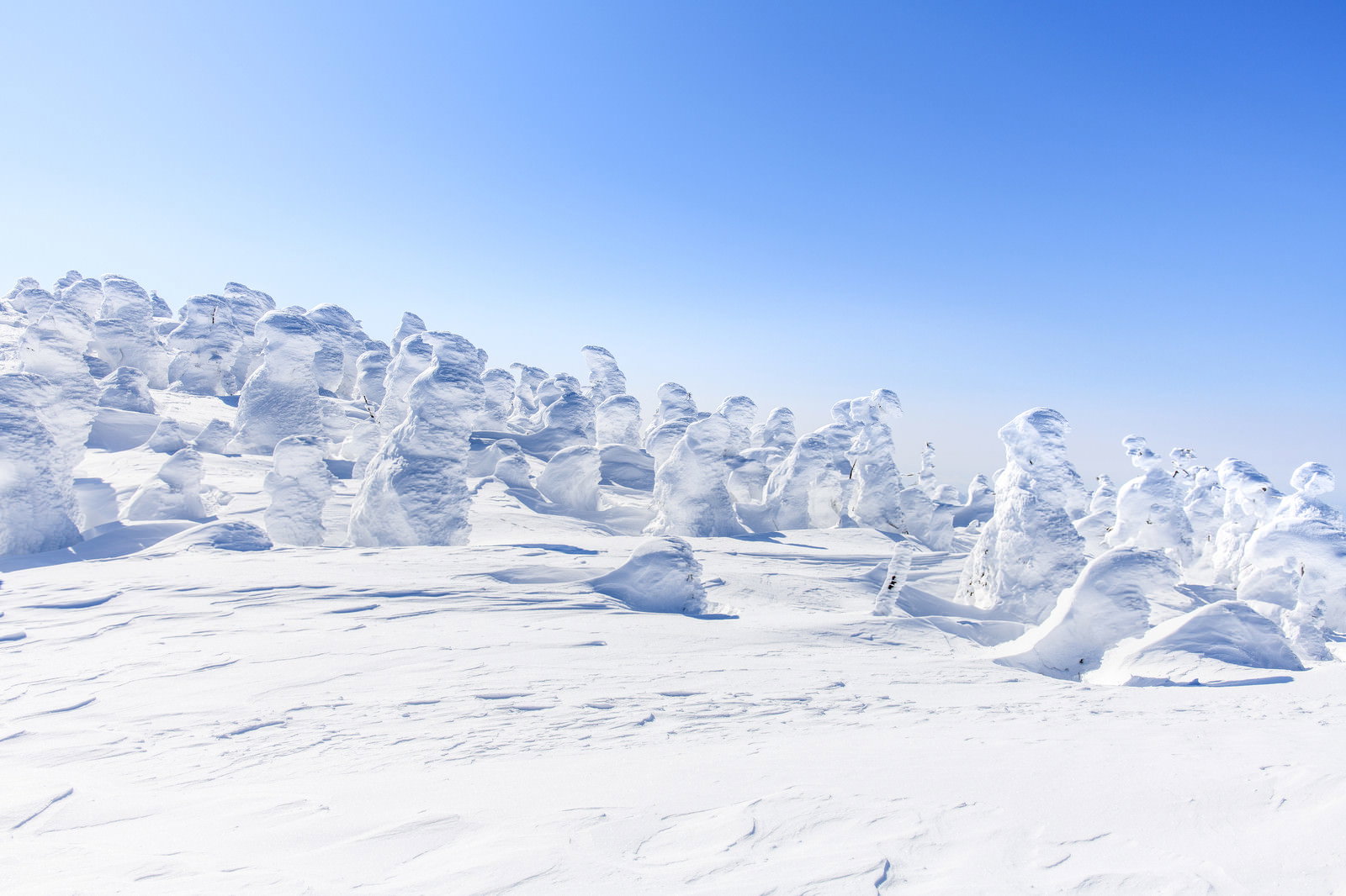 西吾妻山の樹氷スノーモンスターが雪原に立ち並ぶ冬山の風景