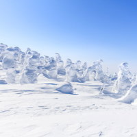 西吾妻山の樹氷（スノーモンスター）が立ち並ぶ冬山の写真