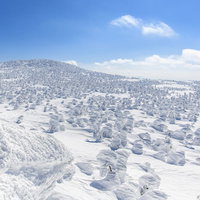 西吾妻山神社方面から見る辺り一面の樹氷原と雪山の写真