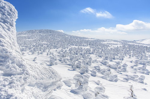 西吾妻山神社方面から見る辺り一面の樹氷原と雪山