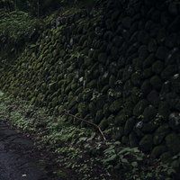 苔と緑に覆われた古い石積みの壁のテクスチャー背景の写真