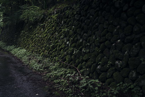 苔と緑に覆われた古い石積みの壁のテクスチャー背景