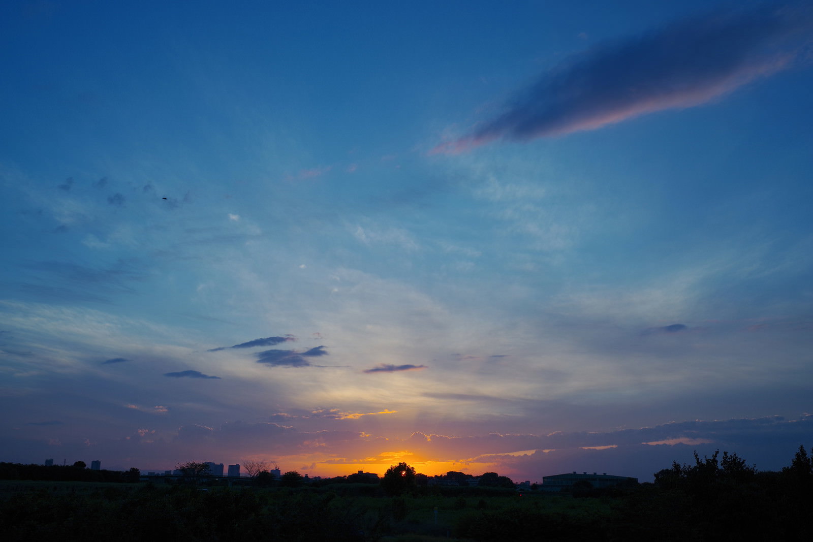 オレンジ色の夕日が地平線に沈む瞬間と深いブルーの空