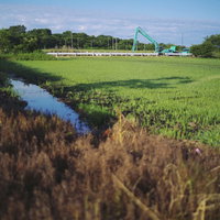 河川沿いの田んぼで工事中のショベルカーと放置された畑の写真