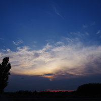 梅雨時期の夕焼け空に映るシンボルツリーのシルエットの写真