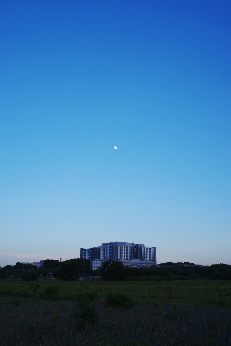 夕暮れの空に浮かぶ白い月と建物のシルエット