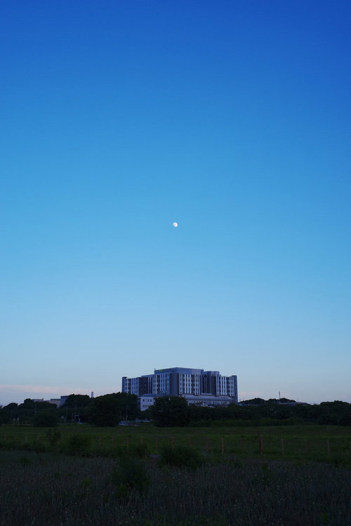 夕暮れ空に浮かぶ月と建物のシルエット、グラデーション空