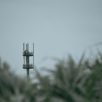草木の向こうに見える電波塔と鉄塔の写真