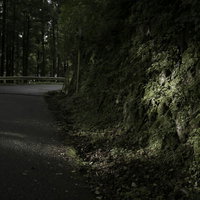 林道に差し込む木漏れ日と擁壁に映る光と影の写真