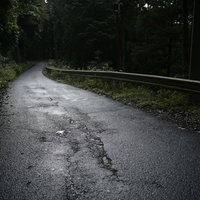 濡れた地面に光が反射する静かな林道の夜景の写真