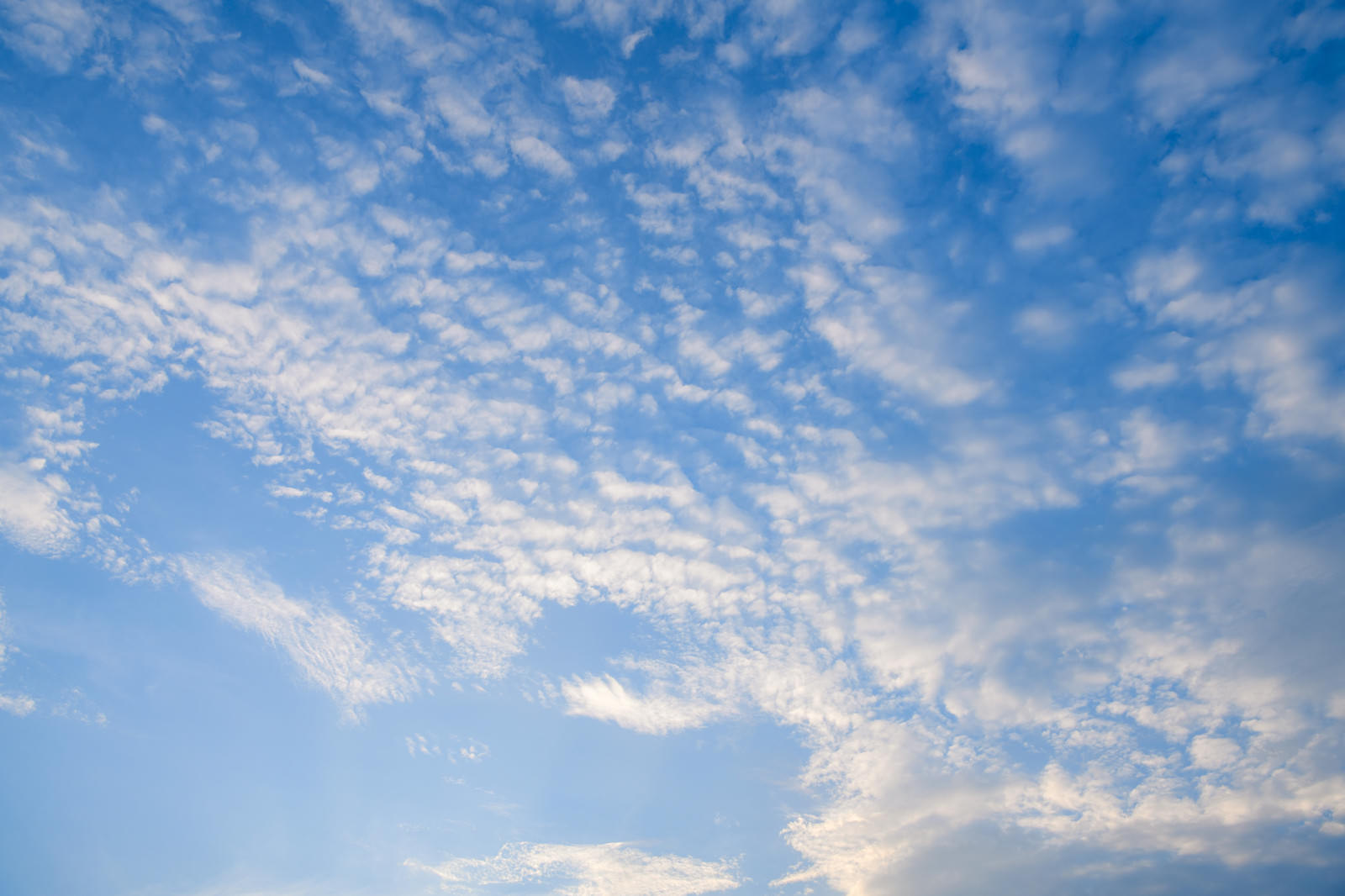White cirrus clouds are regularly floating in the blue sky