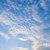 秋の空に広がるうろこ雲と青空 巻積雲が描く幾何学模様の写真