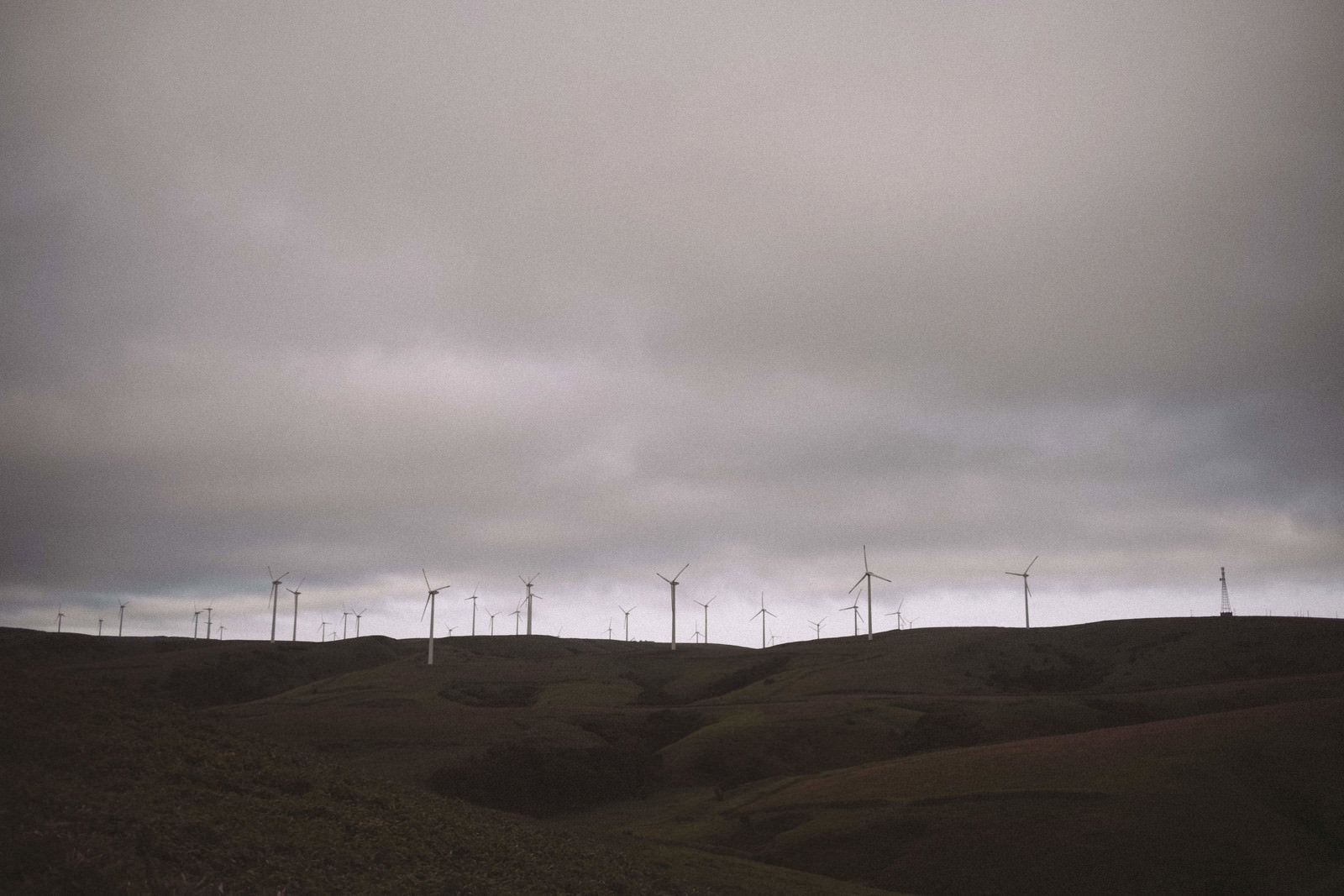北海道宗谷丘陵の丘陵地に点在する複数の風力発電風車と曇り空