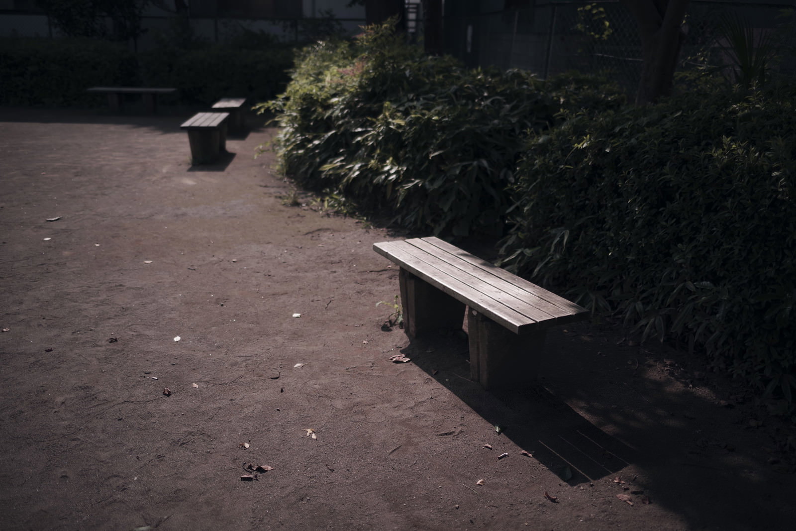 緑豊かな公園に設置された誰も座っていない木製のベンチ