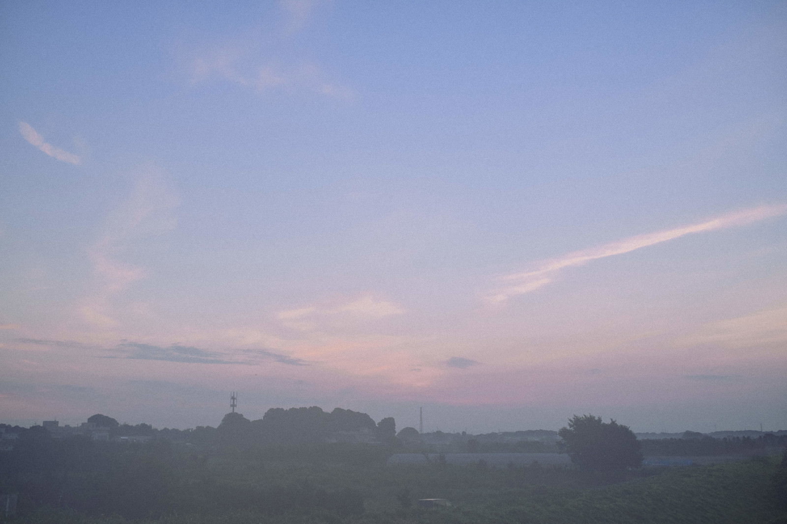 朝霧に包まれた畑の上に広がる朝焼けの空