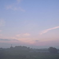 朝靄の中の畑に広がる朝焼けの空と霧の風景の写真