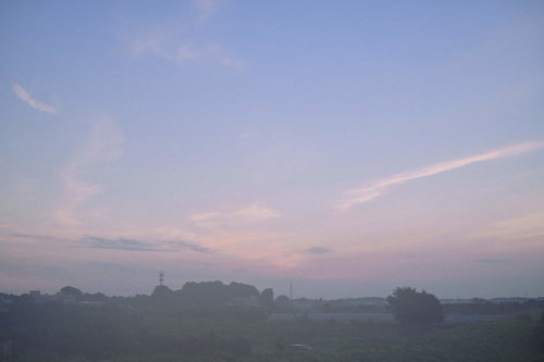 朝靄の中の畑に広がる朝焼けの空と霧の風景