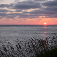 水平線に沈む朝焼けの太陽と海辺の草原の夕景風景の写真