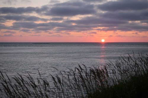 水平線に沈む朝焼けの太陽と海辺の草原の夕景風景