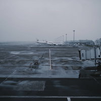 羽田空港の滑走路に駐機する飛行機たちの写真