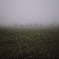 朝靄が立ち込める草原に見える木々の影と静寂の風景の写真