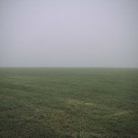 朝霧に包まれた虚無の牧草地 - 静寂に満ちた早朝の草原風景の写真