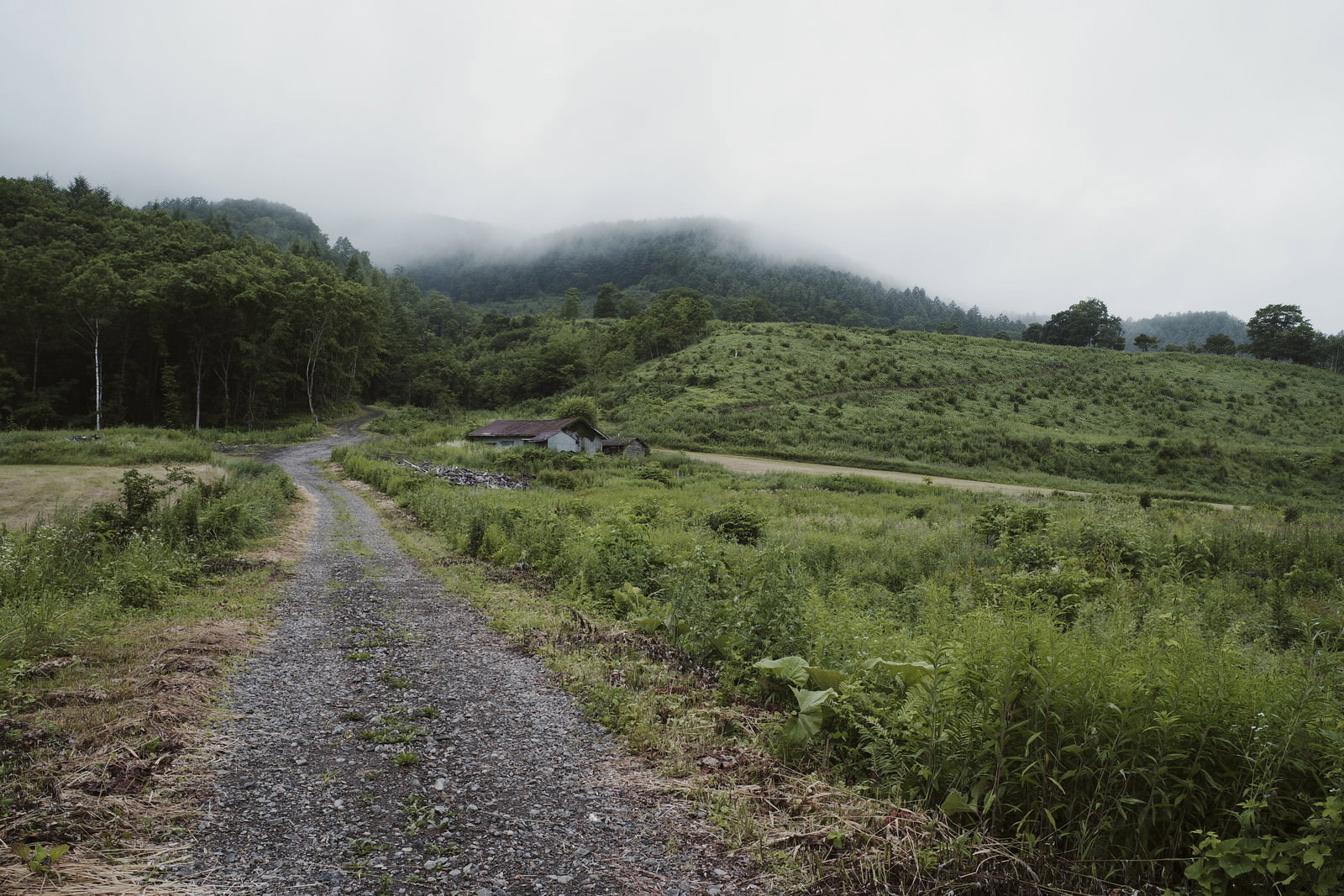廃屋のある開拓地で、砂利道の脇に草むらが広がり、奥に山々が見える風景