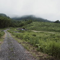 開拓地の砂利道に捨てられた廃墟と草むら、奥に山々を望むの写真