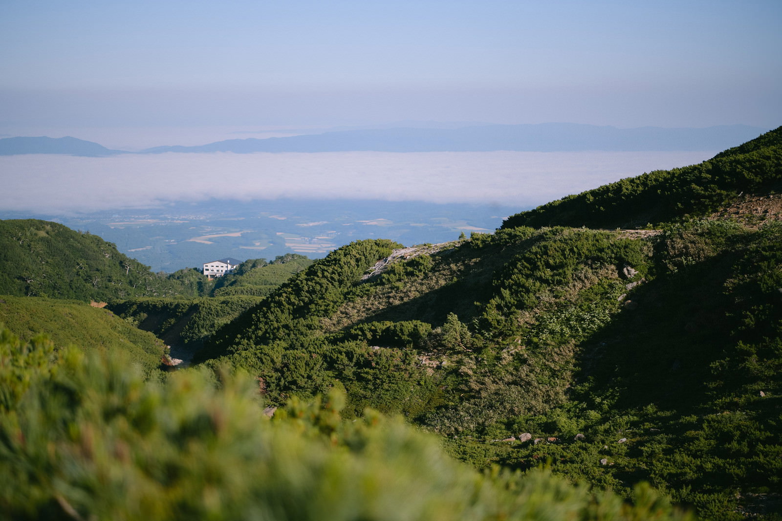 十勝岳中腹から見た雲海に浮かぶ山小屋と緑の山肌の風景